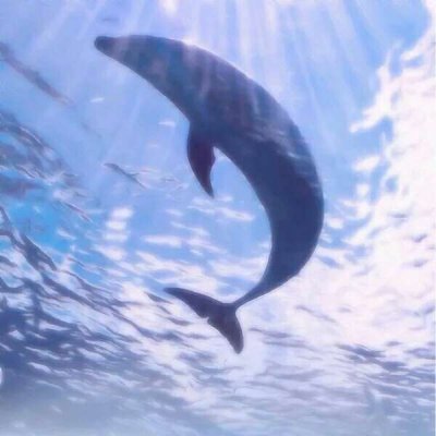 ����Ȧ����ͼ