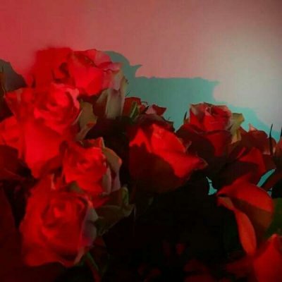 ����Ȧ����ͼ