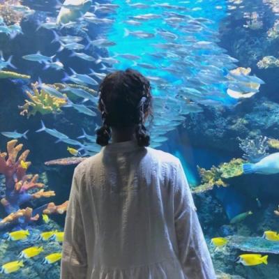 ΢��ͷ��Ů���򵥱�Ӱ  �㴥��������������