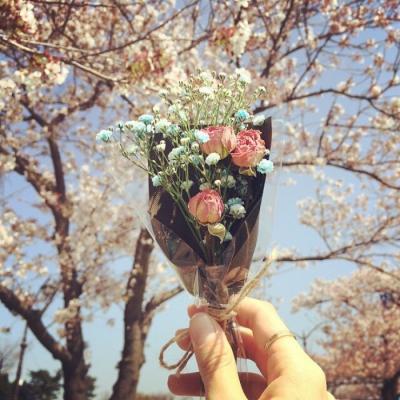 �ÿ�ͷ��ͼƬ�羰     ��հ�����ŵ��