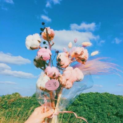 �ÿ�ͷ��ͼƬ�羰     ��հ�����ŵ��