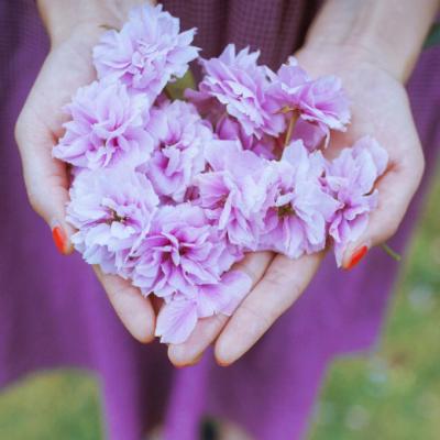 �ÿ�ͷ��ͼƬ�羰     ��հ�����ŵ��