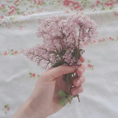 �ÿ�ͷ��ͼƬ�羰     ��հ�����ŵ��