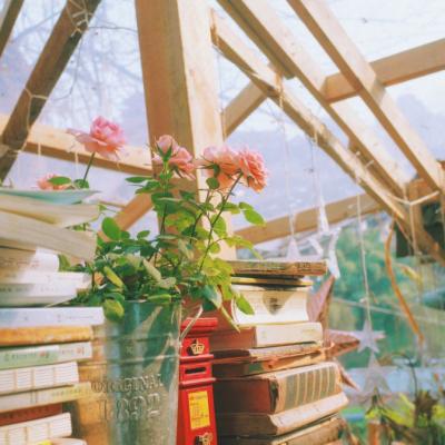 �ÿ�ͷ��ͼƬ�羰     ��հ�����ŵ��