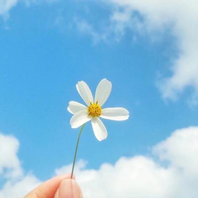 �ÿ�ͷ��ͼƬ�羰     ��հ�����ŵ��