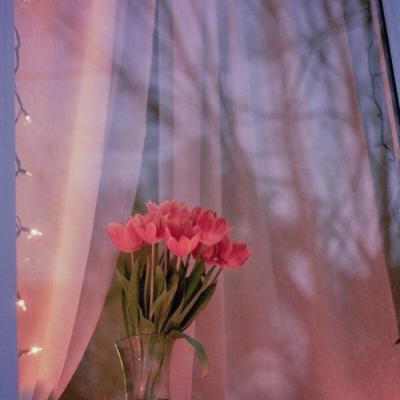 �ÿ�ͷ��ͼƬ�羰     ��հ�����ŵ��