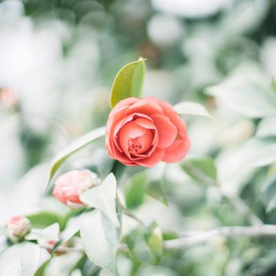 �ÿ�ͷ��ͼƬ�羰     ��հ�����ŵ��