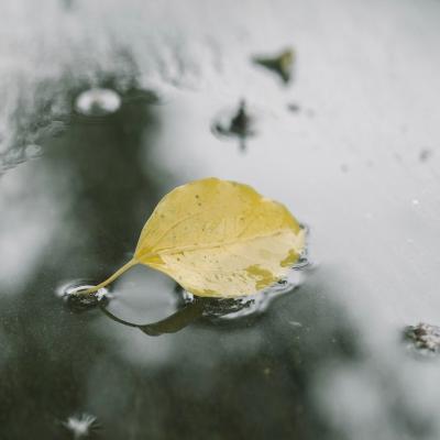 �ÿ�ͷ��ͼƬ�羰     ��հ�����ŵ��