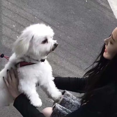 ��ͷ��һ������Ҫ���Ű��ҵ��������˺���