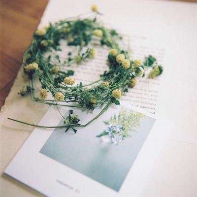 ���ܵ���ֽ���ܵ�ͷ���ͼ