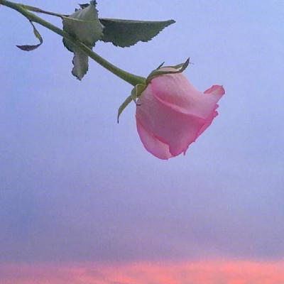 ΢�ź��˻���ͷ��Ů  ���˻����㲻�ڶ���