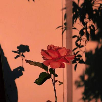 ΢�ź��˻���ͷ��Ů  ���˻����㲻�ڶ���