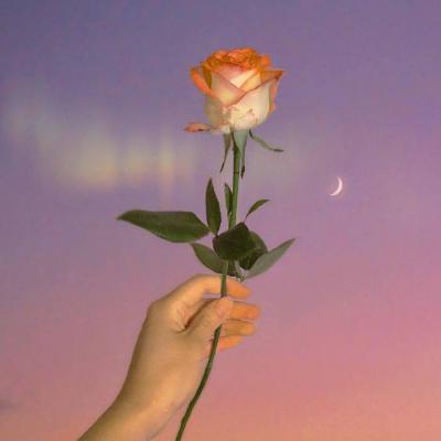 ΢�ź��˻���ͷ��Ů  ���˻����㲻�ڶ���