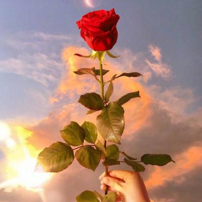 ΢�ź��˻���ͷ��Ů  ���˻����㲻�ڶ���