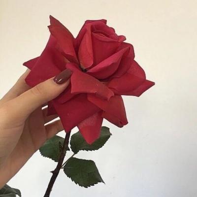 ΢�ź��˻���ͷ��Ů  ���˻����㲻�ڶ���