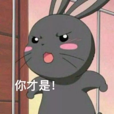 ����������ͷ