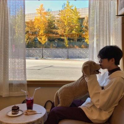 ����������ܰͷ��ͼƬ ��������������