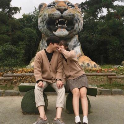 ����������ܰͷ��ͼƬ ��������������