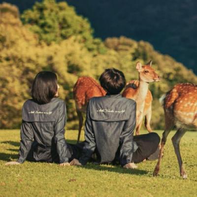 ����������ܰͷ��ͼƬ ��������������