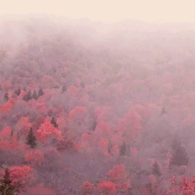 ���ԣ��ڴ����챬����.