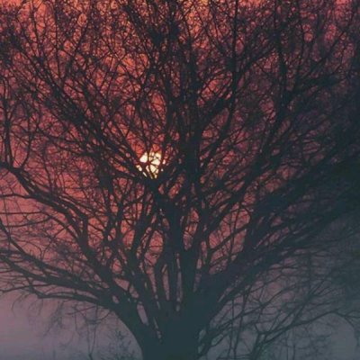 ���ԣ��ڴ����챬����.