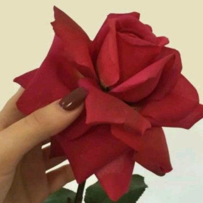 ���ԣ��ڴ����챬����.