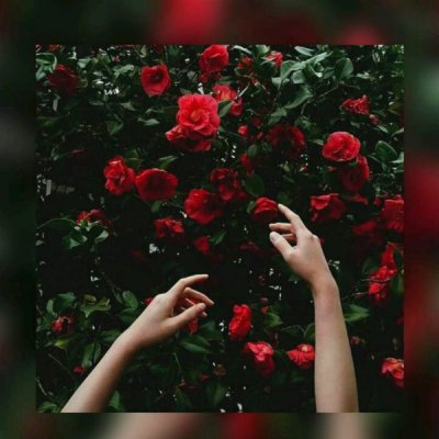 ���ԣ��ڴ����챬����.