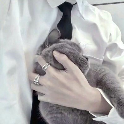 Ѱ��.  ���� ?ȫ����ק��ͷ