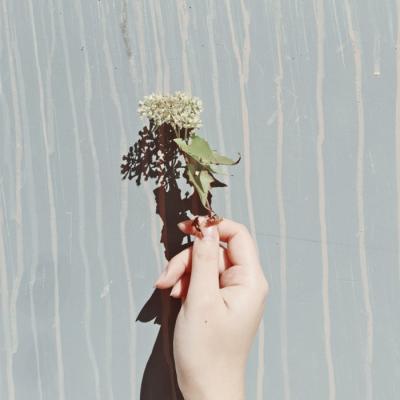 2018����Ψ��΢��ͷ��      �����봺��