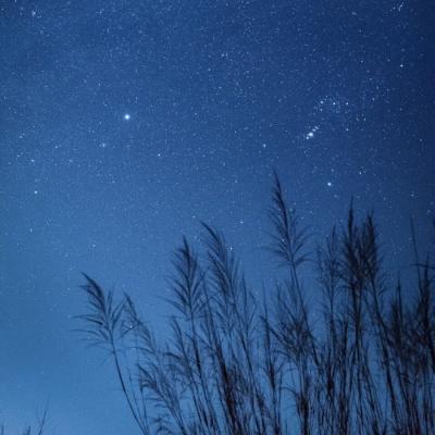 2018����Ψ��΢��ͷ��      �����봺��