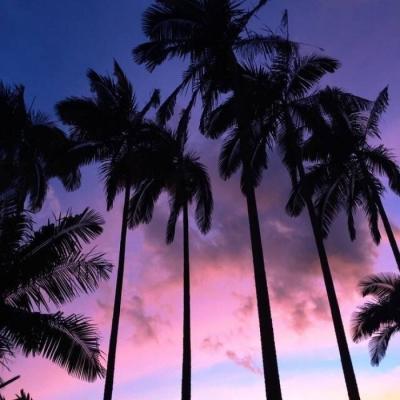 2018����Ψ��΢��ͷ��      �����봺��