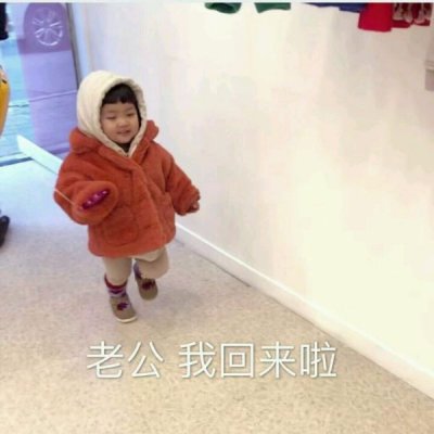 ���ԣ������ۣ����ɰ�������.