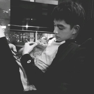 ���ԣ�����˧���ڰ���ͷ/�����й�