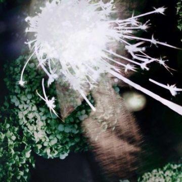 ������Ψ���˸еķ羰ͷ��