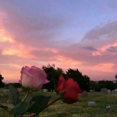 ����:��Ů�ı�ֽ~��ɫ