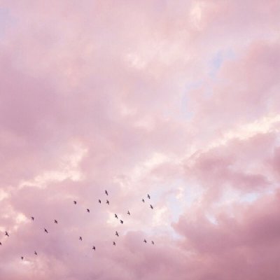 ǳ�ģ���ɫ������ ��Ů�ı��� ������