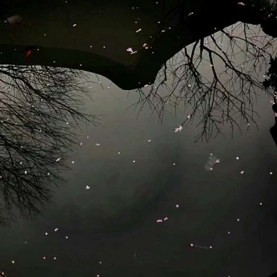 �����ߡ�����ͼ���.�ǿ�.