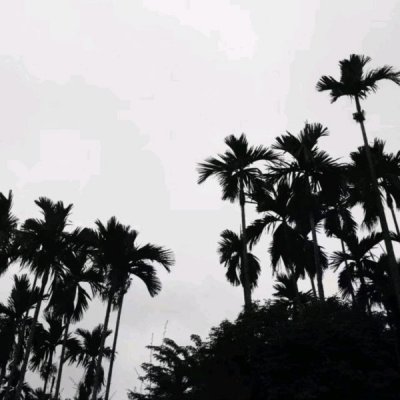 ���ԣ�����۾��������ķ羰