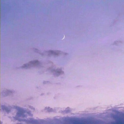 ����//������������������/