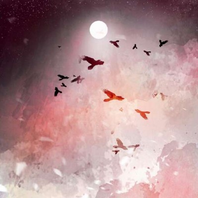 ����//������������������/