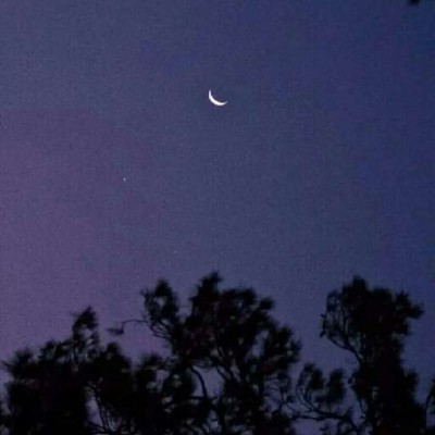 ����//������������������/