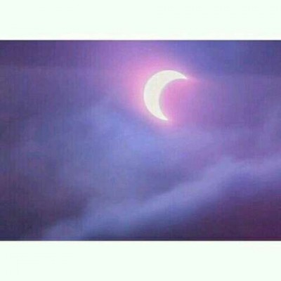 ����//������������������/