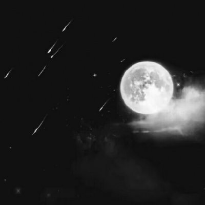 ����//������������������/