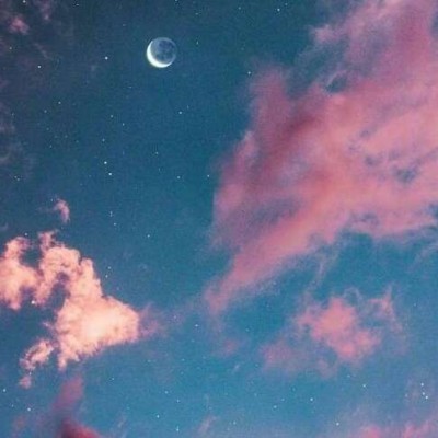 ����//������������������/