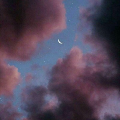 ����//������������������/