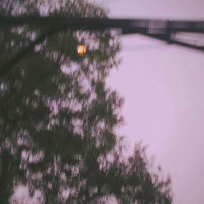 ����//������������������/