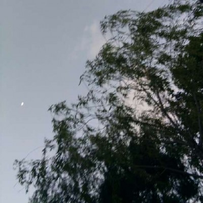 ����//������������������/