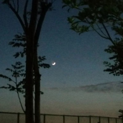 ����//������������������/