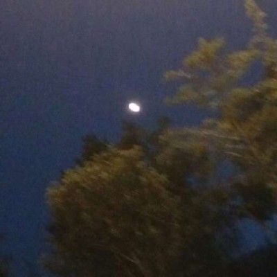 ����//������������������/