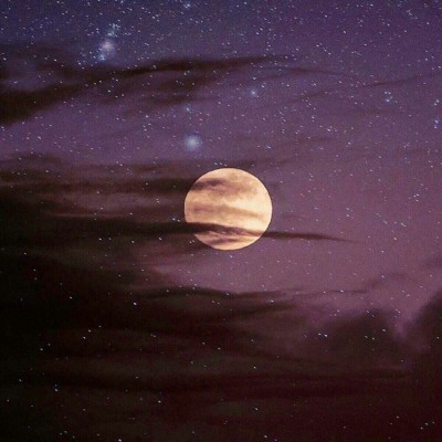 ����//������������������/